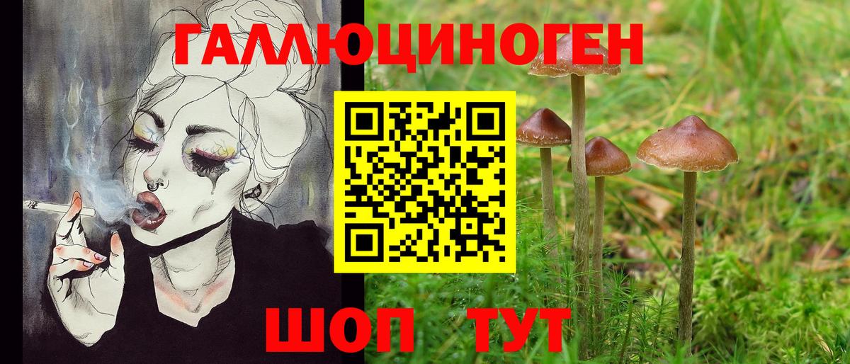 Псилоцибиновые грибы Psilocybe  Вход с VPN  закладка  Кимовск 